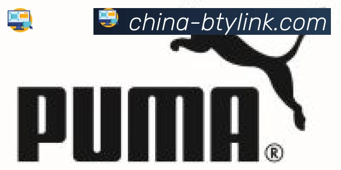 B体育合作伙伴